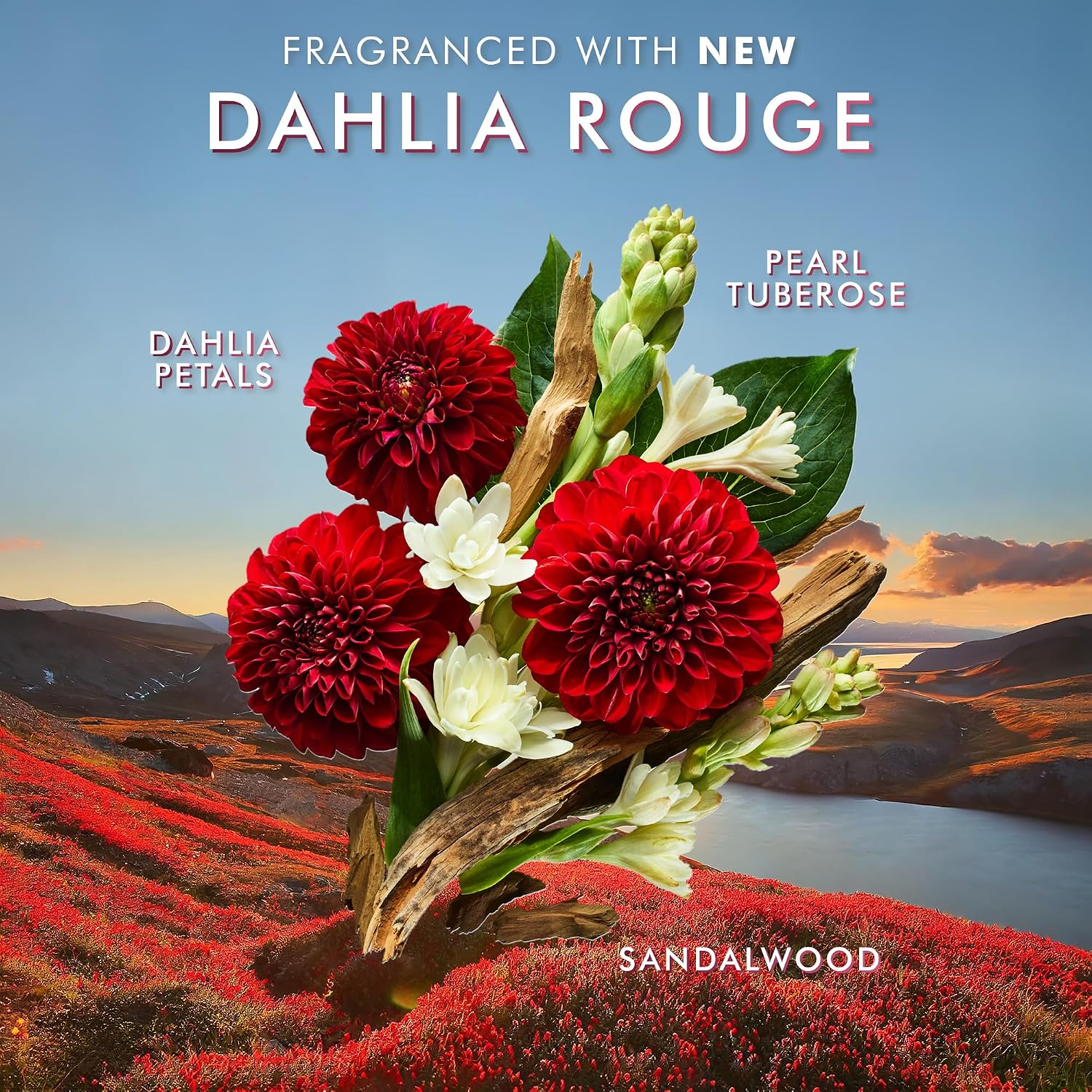 Moroccanoil Hand Cream Dahlia Rouge