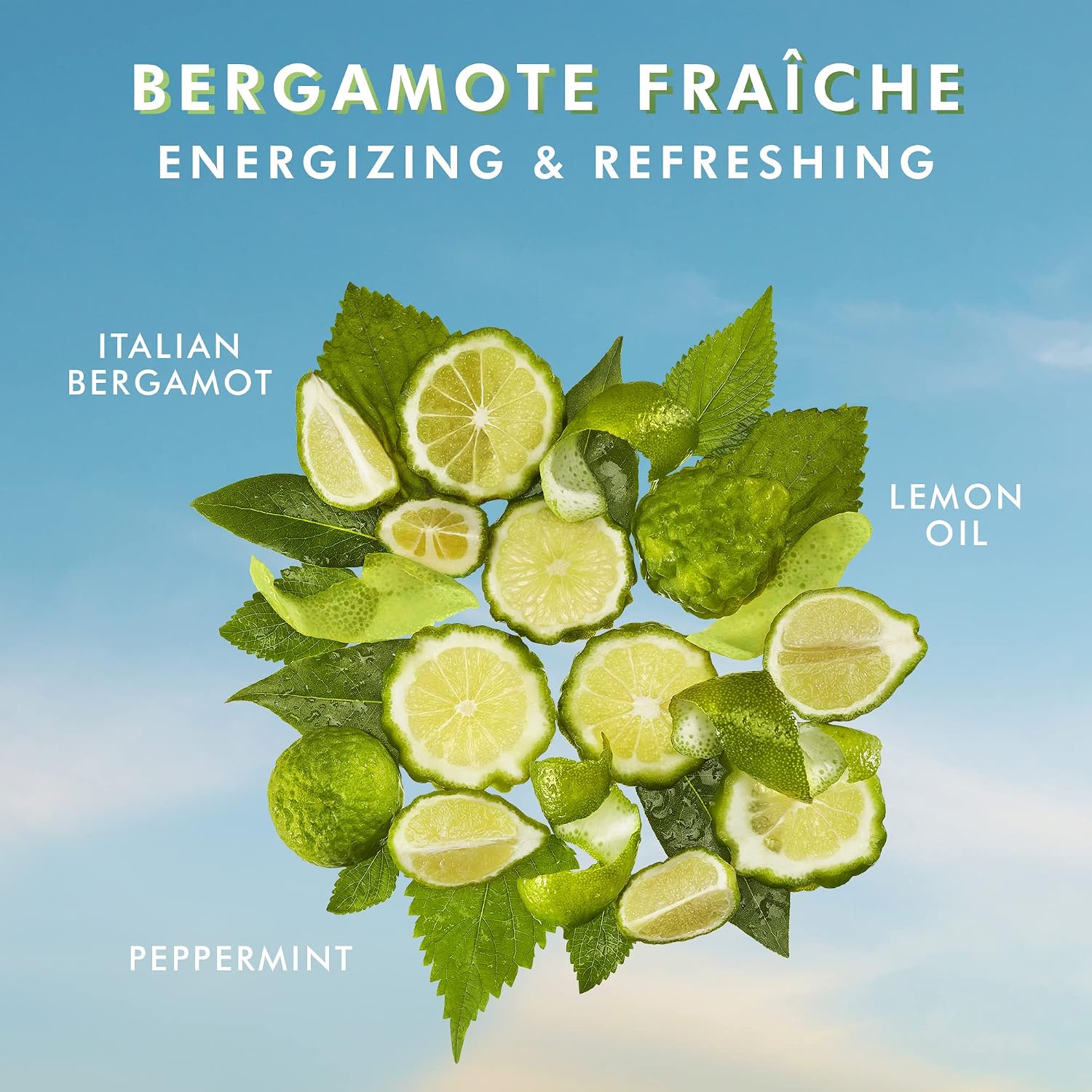 Moroccanoil Shower Gel & Body Lotion Bergamote Fraiche